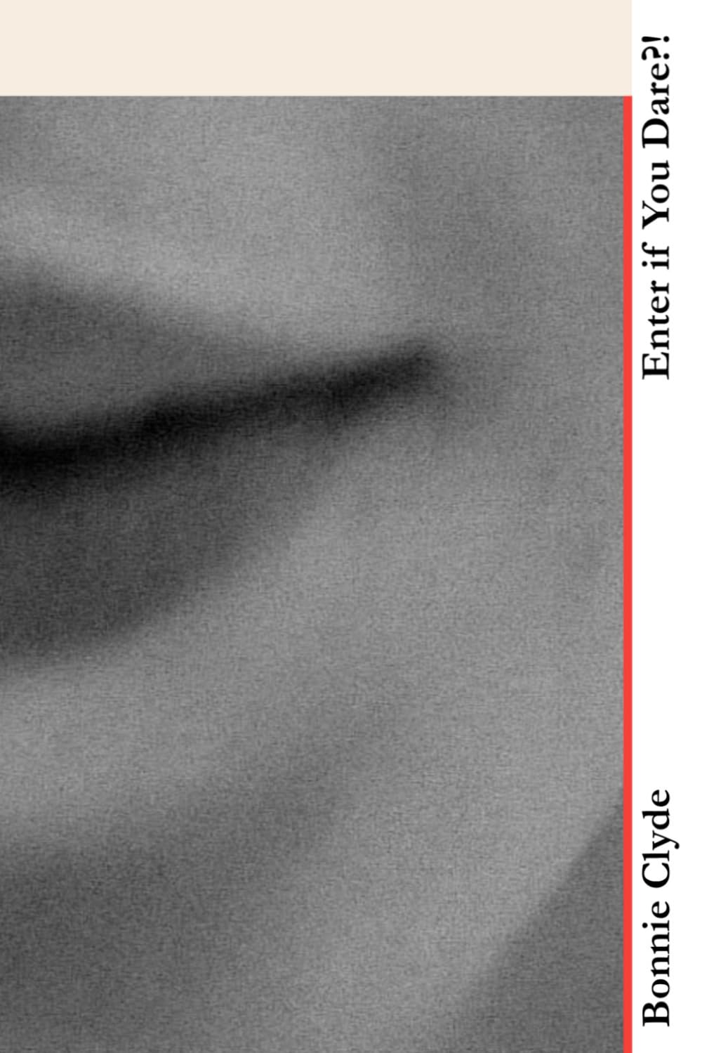 Enter if You Dare?! book cover